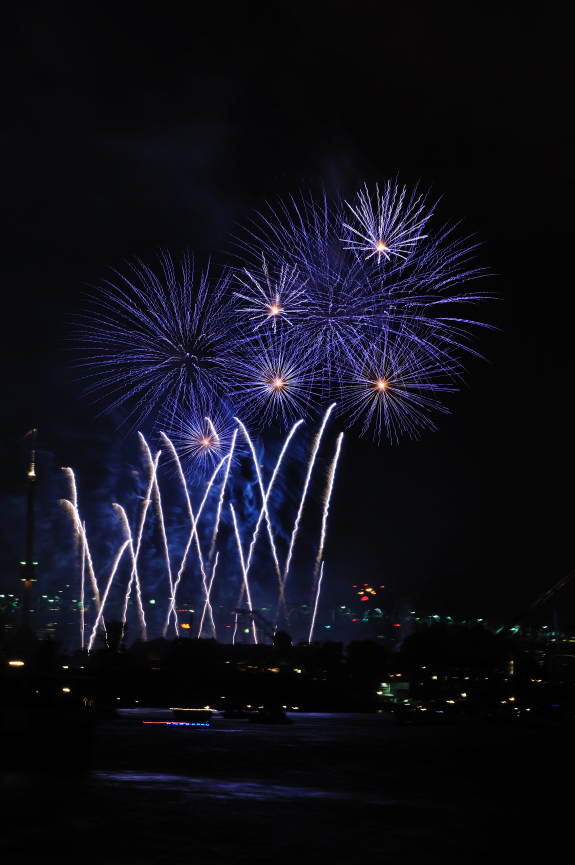 Firework 2010_120.JPG