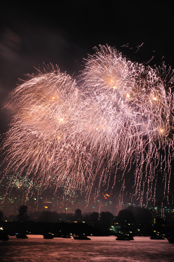 Firework 2010_200.JPG