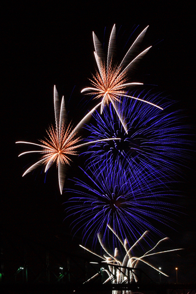 firework-2.jpg