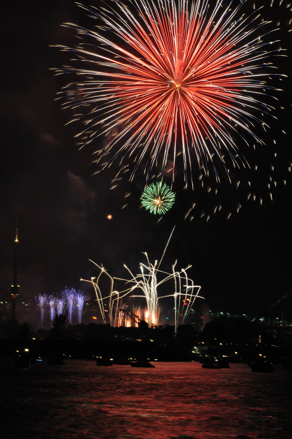 Firework 2010_127.JPG