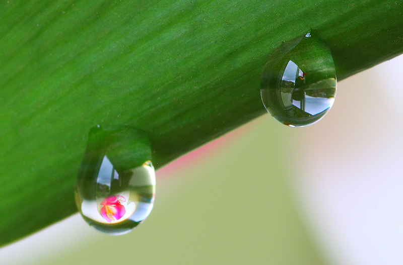 water-drop-1.jpg