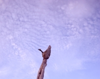 Laval Parc des prairies зɶ